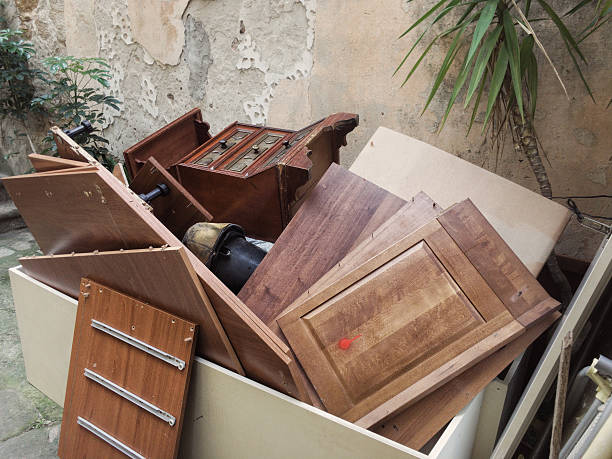 Best Affordable Junk Removal Services  in Celina, TN